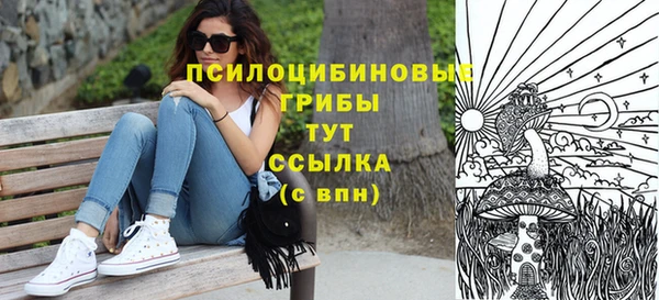 сатива Алзамай