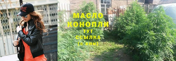 сатива Алзамай