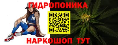 амф Можга
