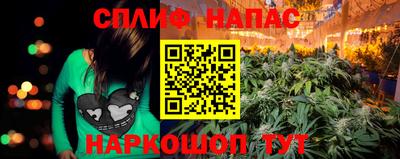 спиды Моздок