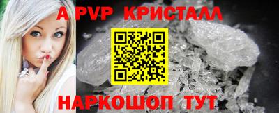 спиды Моздок