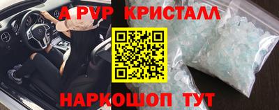 амф Можга