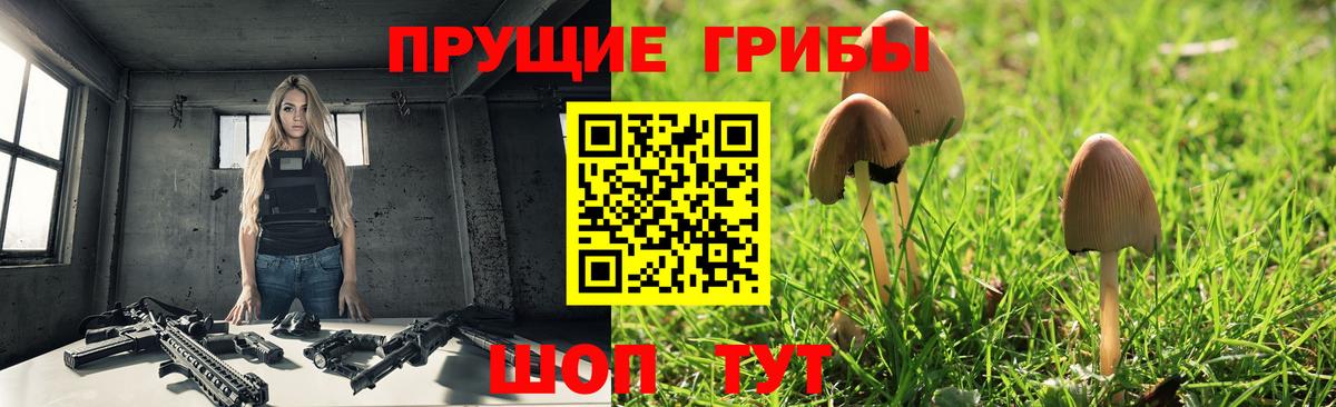 Галлюциногенные грибы мицелий Мегион